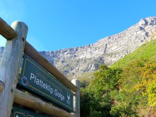 Platteklip-Gorge-Table-Mountain-start